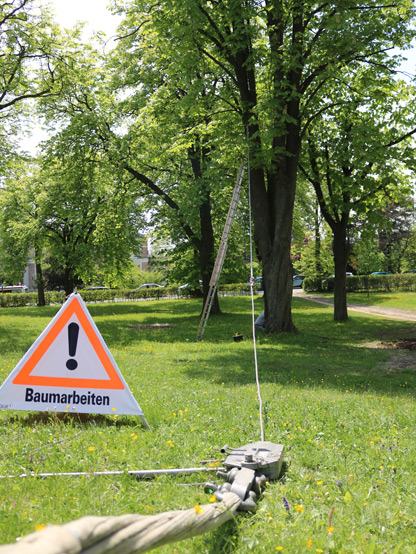 1baumstat_untersuchungen2